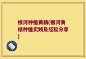 根河种植黄精(根河黄精种植实践及经验分享)