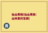 仙山黄精(仙山黄精：山林里的宝藏)