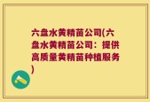 六盘水黄精苗公司(六盘水黄精苗公司：提供高质量黄精苗种植服务)