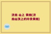 济南 山上 黄精(济南山顶上的珍贵黄精)