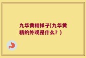 九华黄精样子(九华黄精的外观是什么？)