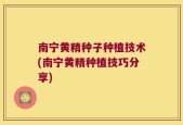 南宁黄精种子种植技术(南宁黄精种植技巧分享)