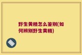 野生黄精怎么鉴别(如何辨别野生黄精)