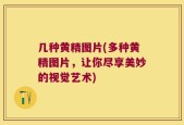 几种黄精图片(多种黄精图片，让你尽享美妙的视觉艺术)