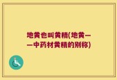 地黄也叫黄精(地黄——中药材黄精的别称)