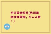 热河黄精照片(热河黄精壮观震撼，引人入胜！)