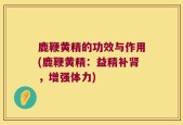 鹿鞭黄精的功效与作用(鹿鞭黄精：益精补肾，增强体力)