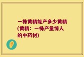 一株黄精能产多少黄精(黄精：一株产量惊人的中药材)