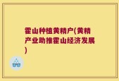 霍山种植黄精户(黄精产业助推霍山经济发展)