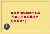 大山毛竹园黄精长多高了(大山毛竹园黄精生长到多高？)