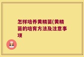 怎样培养黄精苗(黄精苗的培育方法及注意事项