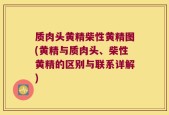 质肉头黄精柴性黄精图(黄精与质肉头、柴性黄精的区别与联系详解)