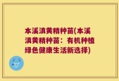 本溪滇黄精种苗(本溪滇黄精种苗：有机种植绿色健康生活新选择)