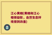 江心黄精(黄精和江心相得益彰，自然生态环境得到改善)
