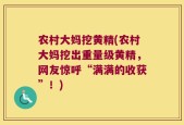 农村大妈挖黄精(农村大妈挖出重量级黄精，网友惊呼“满满的收获”！)