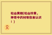 松山黄精(松山珍黄，神奇中药材等你来认识！)