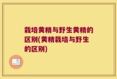 栽培黄精与野生黄精的区别(黄精栽培与野生的区别)