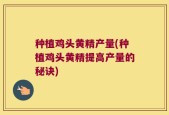 种植鸡头黄精产量(种植鸡头黄精提高产量的秘诀)