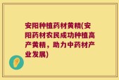 安阳种植药材黄精(安阳药材农民成功种植高产黄精，助力中药材产业发展)