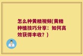 怎么种黄精视频(黄精种植技巧分享：如何高效获得丰收？)