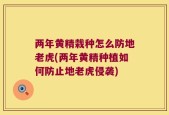 两年黄精栽种怎么防地老虎(两年黄精种植如何防止地老虎侵袭)