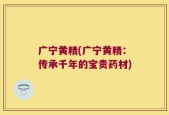 广宁黄精(广宁黄精：传承千年的宝贵药材)