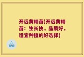 开远黄精苗(开远黄精苗：生长快，品质好，适宜种植的好选择)