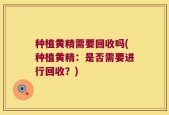 种植黄精需要回收吗(种植黄精：是否需要进行回收？)