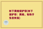 林下黄精保护带(林下保护带：黄精，有助于生态恢复)