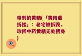 带刺的黄精(「黄精遭拆楼」：老宅被拆毁，珍稀中药黄精无处栖身)