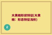 大黄精形状特征(大黄精：形态特征浅析)