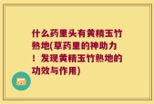 什么药里头有黄精玉竹熟地(草药里的神助力！发现黄精玉竹熟地的功效与作用)