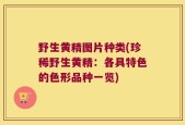 野生黄精图片种类(珍稀野生黄精：各具特色的色形品种一览)