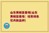 山东黄精苗基地(山东黄精苗基地：培育绿色花卉新品种)