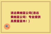 清远黄精苗公司(清远黄精苗公司：专业提供高质量苗木！)