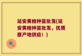 延安黄精种苗批发(延安黄精种苗批发，优质原产地供应！)