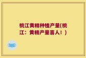 桃江黄精种植产量(桃江：黄精产量喜人！)