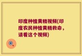 印度种植黄精视频(印度农民种植黄精救命，请看这个视频)