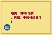 地黄   黄精(地黄、黄精：中药材的良伴)