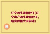 辽宁鸡头黄精种子(辽宁出产鸡头黄精种子，培育种植大有前途)