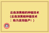 云南滇黄精的种植技术(云南滇黄精种植技术：助力高效稳产！)