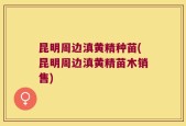昆明周边滇黄精种苗(昆明周边滇黄精苗木销售)