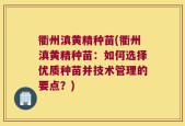 衢州滇黄精种苗(衢州滇黄精种苗：如何选择优质种苗并技术管理的要点？)