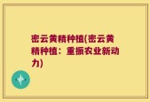密云黄精种植(密云黄精种植：重振农业新动力)
