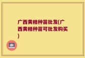 广西黄精种苗批发(广西黄精种苗可批发购买)