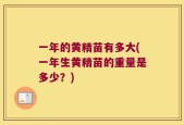 一年的黄精苗有多大(一年生黄精苗的重量是多少？)