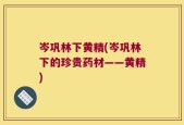 岑巩林下黄精(岑巩林下的珍贵药材——黄精)