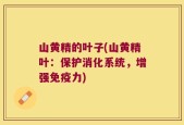 山黄精的叶子(山黄精叶：保护消化系统，增强免疫力)