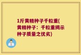 1斤黄精种子千粒重(黄精种子：千粒重揭示种子质量之优劣)