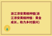 浙江淳安黄精种植(浙江淳安黄精种植：黄金成长，助力乡村振兴)